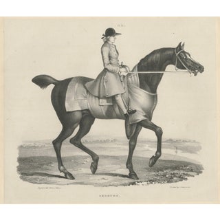 Maxim Gauci, Sedbury Equestrian Horse & Rider Portrait, 1840, Lithograph For Sale