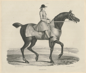 Maxim Gauci, Sedbury Equestrian Horse & Rider Portrait, 1840, Lithograph