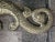 Brass Pair of Virginia Metalcrafters Brass Dolphin Andirons Rare For Sale - Image 8 of 13