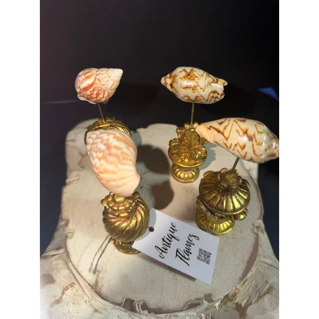 Traditional Vintage Celestial Meets the Sea Placeholders - Set of 4-Coastal Art Sculpture For Sale - Image 3 of 4