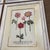Late 20th Century Set of 4 Botanical Prints, Framed For Sale - Image 9 of 12