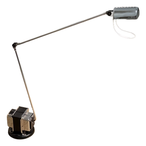 Daphine Silver Flexible Desk Lamp by Tommaso Comini for Lumina, 1980s