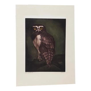 Jack Coutu (1924-2017) "Speckled Owl" Original Pencil Signed Etching C.1968 For Sale
