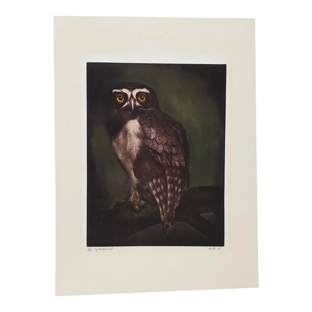 Jack Coutu (1924-2017) "Speckled Owl" Original Pencil Signed Etching C.1968 For Sale
