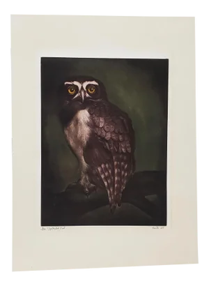 Jack Coutu (1924-2017) "Speckled Owl" Original Pencil Signed Etching C.1968