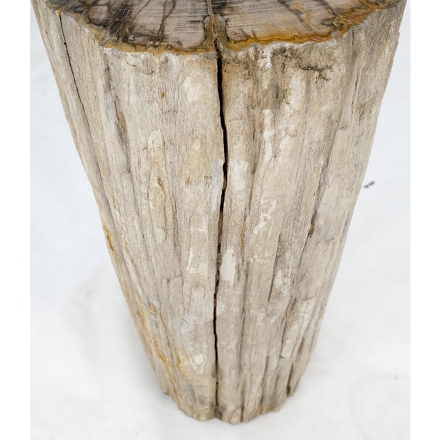 Large Beige Petrified Wood Organic Stomp Shape Stand End Side Table Pedestal For Sale - Image 4 of 10