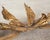 18th Century Italian Rococo Carved Giltwood Console Table For Sale - Image 17 of 18