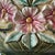 19th Century French Art Nouveau Majolica Planter, 1890s For Sale - Image 5 of 10