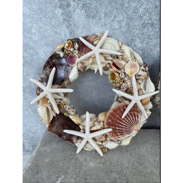 Early 21st Century Vintage Round Frames With See Shells- A Pair For Sale - Image 5 of 6