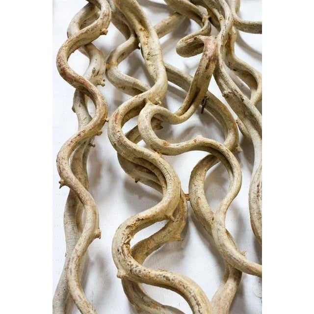 Natural Vine Hanging Rectangle Wall Art Set of 3 For Sale - Image 11 of 12