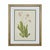 This is a beautiful set of 6 framed original vintage botanical prints from 1953. These authentic mid-century wildflower...