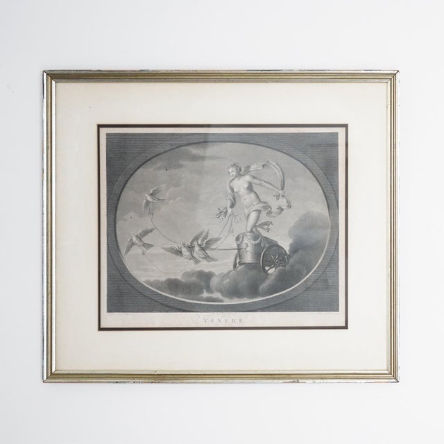 Gray Late 18th–Early 19th Century Neoclassical “Venere” Venus Engraving After Raphael – Tofanelli & Bertigneni For Sale - Image 8 of 14