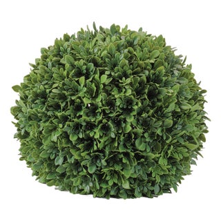 Boxwood Foliage Orb 13"D For Sale