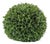 Boxwood Foliage Orb 13"D For Sale