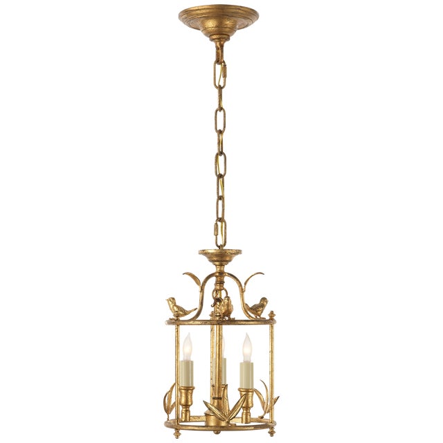 Diego Petite Classical Perching Bird Lantern in Gilded Iron Designer: Chapman & Myers Canopy: 5" Round Mounting: Chain...