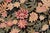 Shabby Chic Shabby Chic Foliate 1990's Pak-Persian Black/Black Wool Rug - 9'0'' X 12'1''V For Sale - Image 3 of 9