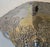 Metal Vintage Arthur Court Grapevine Platter For Sale - Image 7 of 17