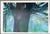 Wood Oskar Koller “Alter Baum” 1993 Extra Large, Signed Limited Edition, 88/1000 For Sale - Image 7 of 14