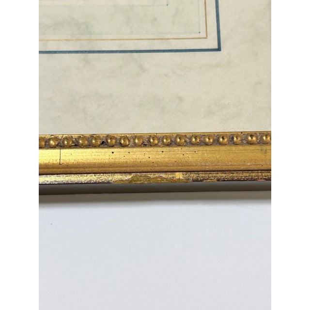 19th Century Hand-Colored Botanical Engravings of Geraniums – Framed Pair, Circa 1840s For Sale - Image 12 of 12