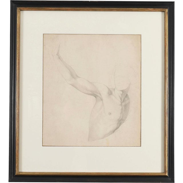 After Raphael, Figural Nude Study, Late 19th Century, Antique Drawing on Paper For Sale - Image 10 of 10