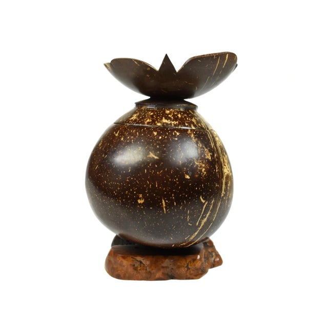 Late 20th Century Vintage Handmade Natural Coconut Shell Lidded Box Display on Wooden Base For Sale - Image 5 of 13