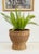 Shabby Chic Rattan Pedestal Planter Basket For Sale - Image 3 of 6