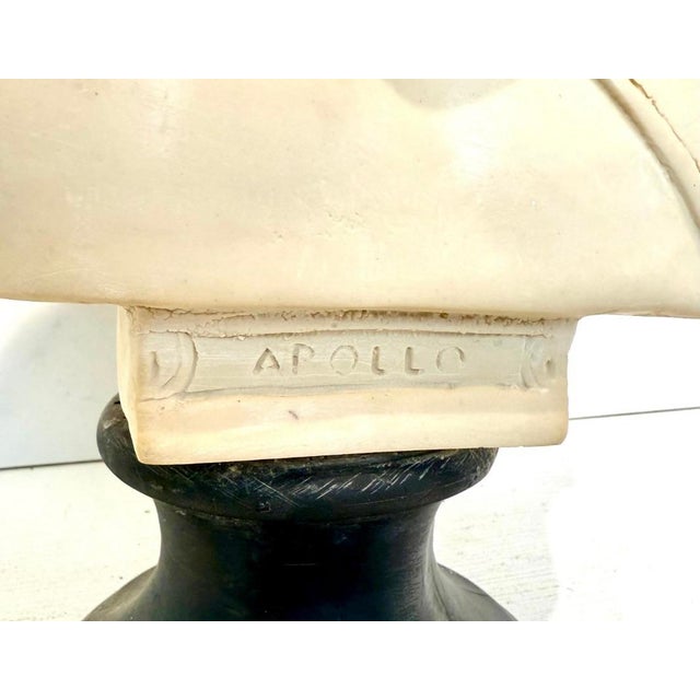 Neoclassical 1960s Large Vintage Mid Century Neoclassical Composite Bust of Apollo For Sale - Image 3 of 4