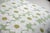 A soft, luminous composition in pale cream and sage greens, rendered with gentle organic brushwork that suggests the...