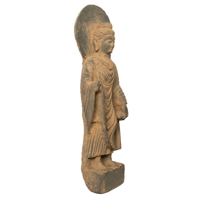 Gray Ancient Indian Carved Stone Gandharan Shakyamuni Buddha Statue 2nd Century a.d. For Sale - Image 8 of 12