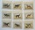 1900 - 1909 1907 French Photogravure Prints - Collection of Nine Hunting Dogs #1 - For Sale - Image 5 of 5