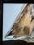 Brutalist 1970s Brutalist Metal Ship For Sale - Image 3 of 11