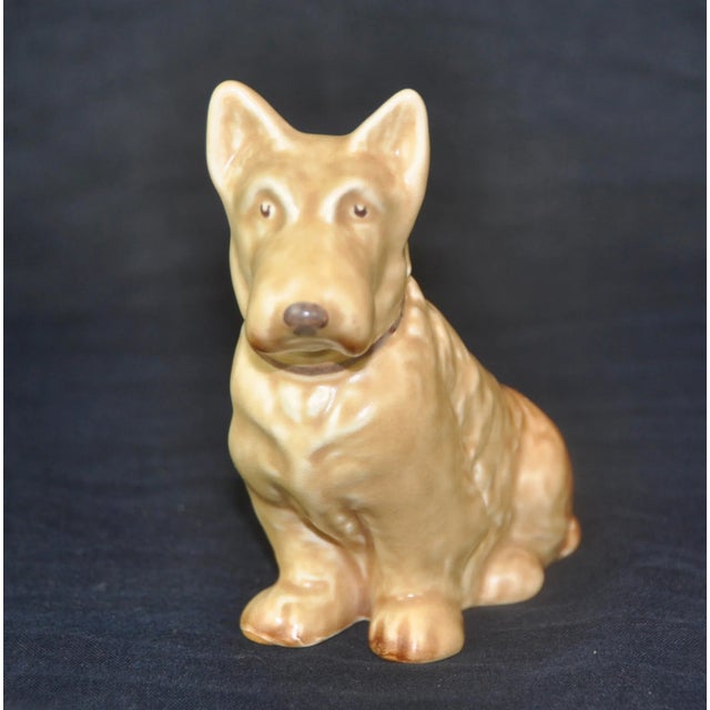 Brown Scottish Terrier Dog from Sylvac, 1970s For Sale - Image 6 of 6