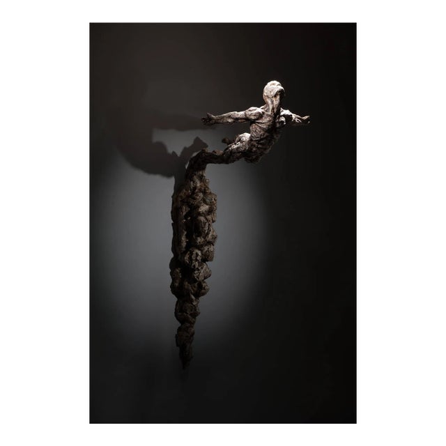 Ian Edwards - Born within Fire - Wall Mounted Signed Bronze Sculpure 2017 For Sale