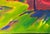 1960s Cool Pop Art Hot Colors! Sweeping Panorama Signed by Weston For Sale - Image 4 of 8