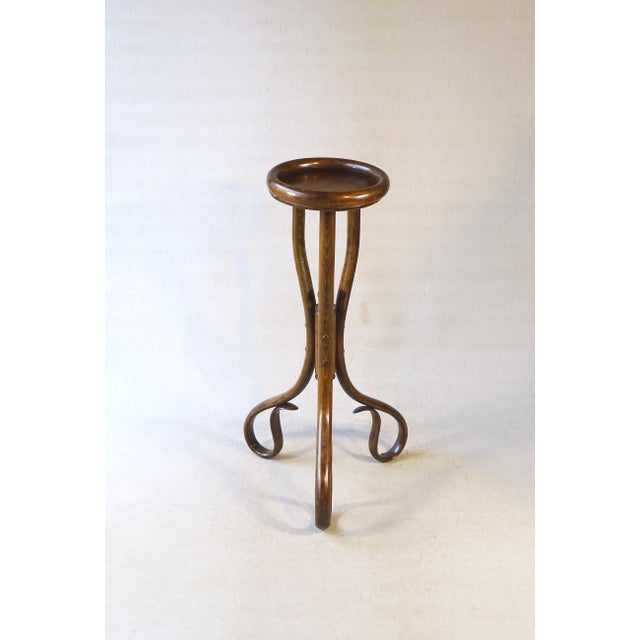 Art Nouveau Bentwood Flower Stand, 1890 For Sale - Image 12 of 14