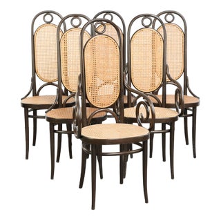 Vintage Long John High Back Bentwood Chairs with Webbing Seats from Thonet, Set of 6 For Sale
