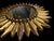 Also known as 'mirrors soleil, trace their decorative lineage back to the reign of Louis XIV, the Sun King who famously...