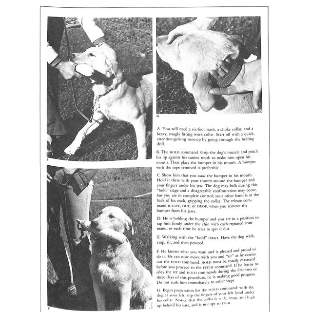 "The Working Retrievers" Book 1983 Quinn, Tom For Sale - Image 12 of 12