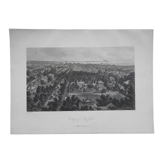 Antique Engraving "Buffalo" For Sale