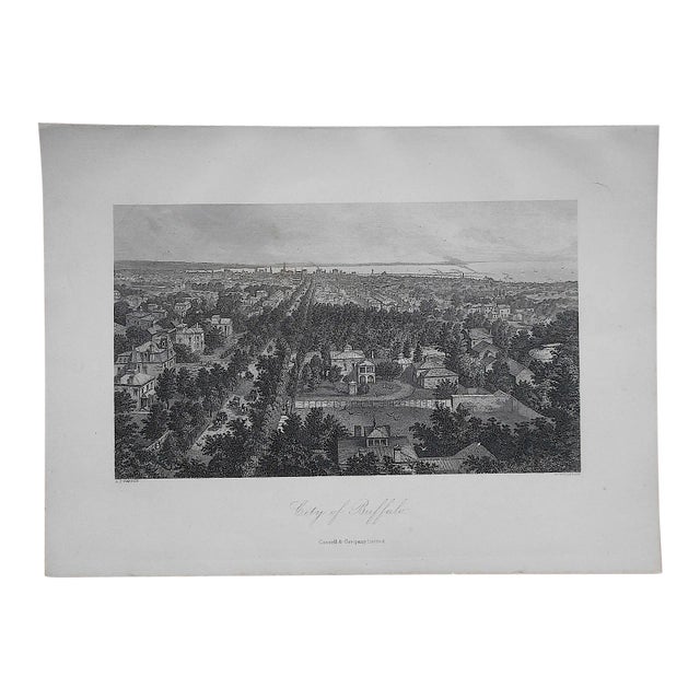 Antique Engraving "Buffalo" For Sale