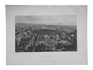 Antique Engraving "Buffalo"