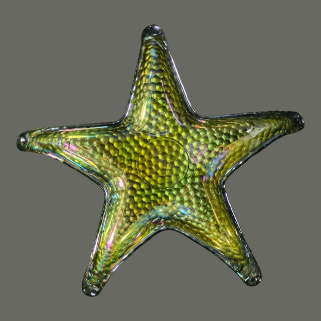 Glass Late 20th Century Coastal Multi-Color Star Fish Akcam Glass Coasters - Set of 4 For Sale - Image 7 of 10