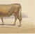 Charles Olivier de Penne, Béarnaise Cow with Bell Collar, French Cattle, 1863, Chromolithograph For Sale - Image 6 of 9