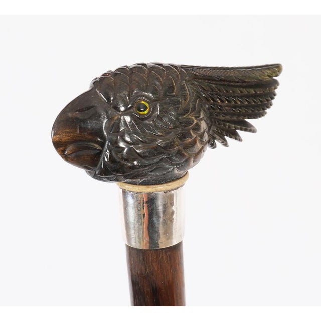 Metal Antique Art Deco Novelty Parrot Walking Stick Cane, 1920s For Sale - Image 7 of 15