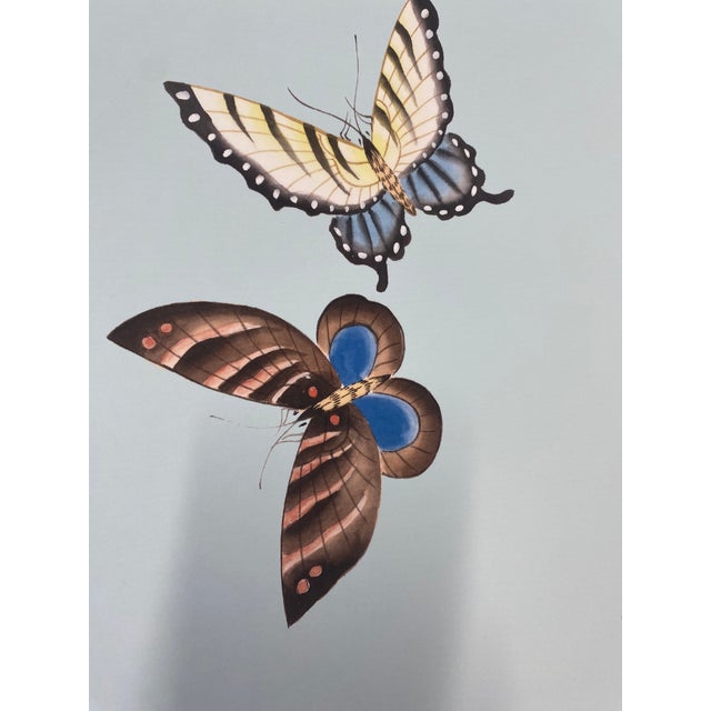 Boho Chic 36" * H96"/Panel * 5ps, Butterfly Wallpaper in Light Blue Ground Color For Sale - Image 3 of 8