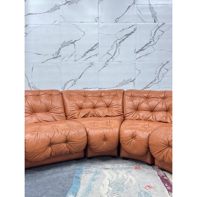 Animal Skin Modular Sofa in the style of Afra & Tobia Scarpa, 1970s, Set of 5 For Sale - Image 7 of 14