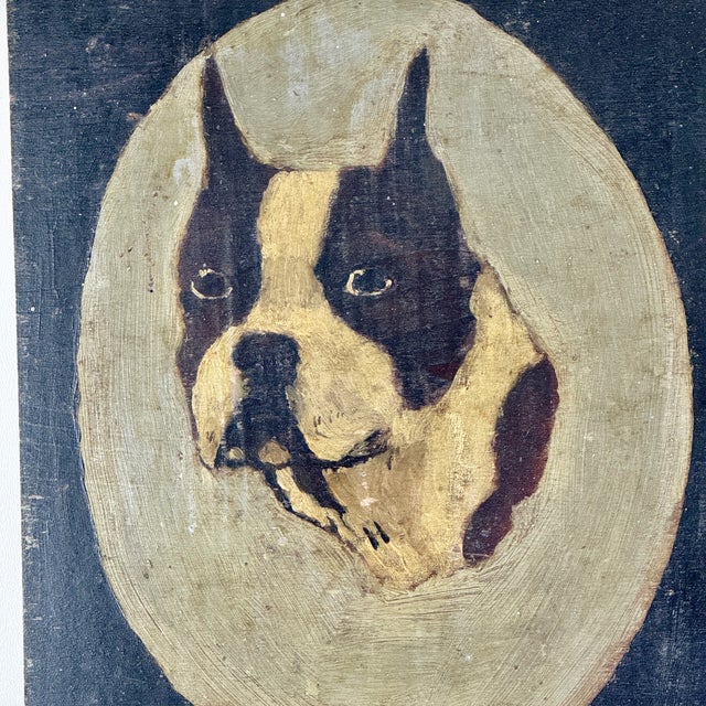 Folk Art Stunning Antique Folk Art Oil on Board Painting of Boston Terrier Dog For Sale - Image 3 of 7
