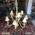 1970s 1970s Off White Large Monkey Chandelier With Printed Shades For Sale - Image 5 of 5