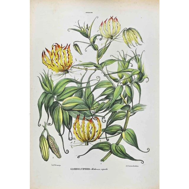 Vincenzo Tenore, The Lilies, Lithograph, 1870s For Sale