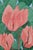 Realism Vintage Coral Cyclamen by Barbara Gibson For Sale - Image 3 of 5